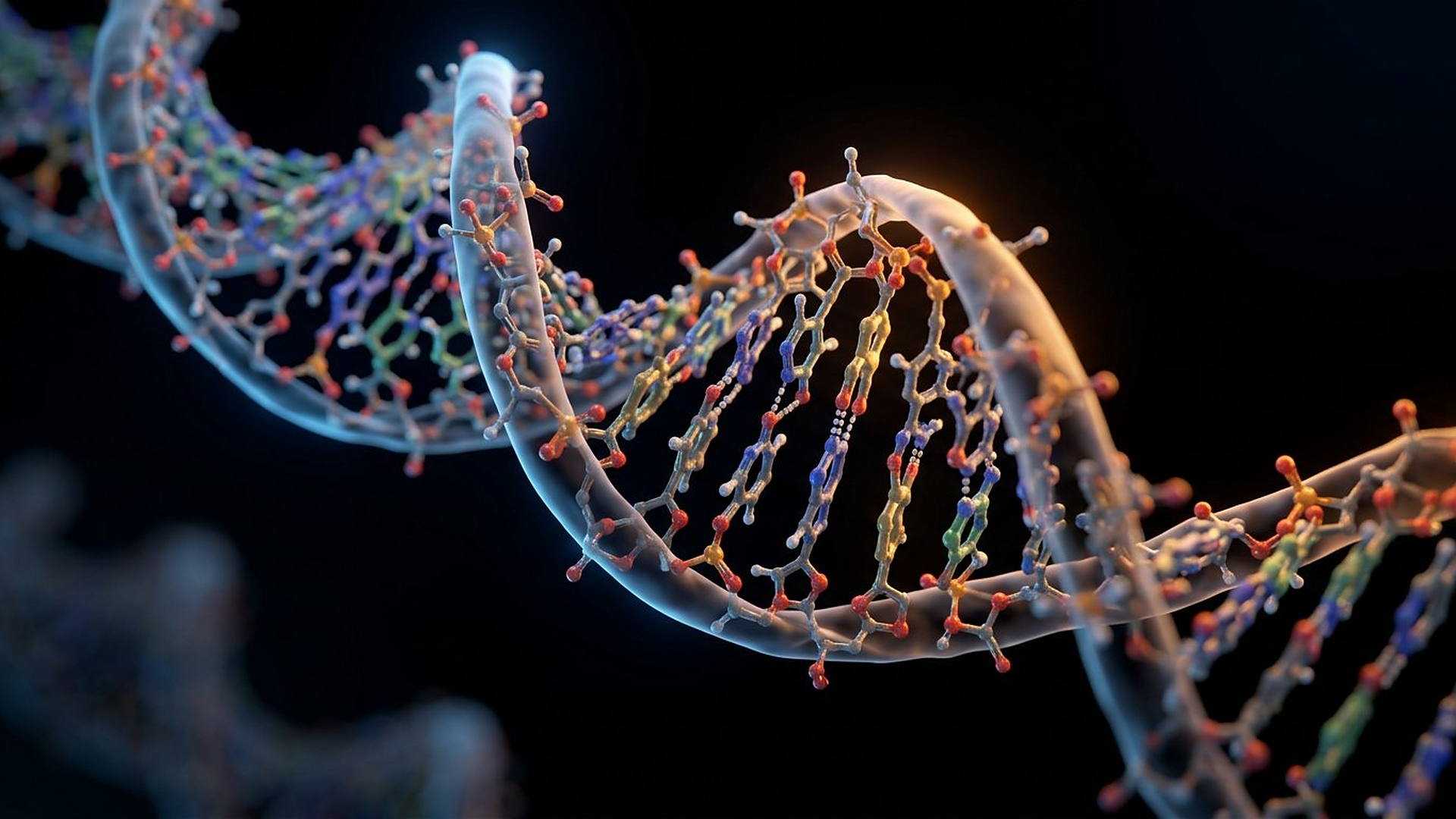 L'ADN, le langage du vivant