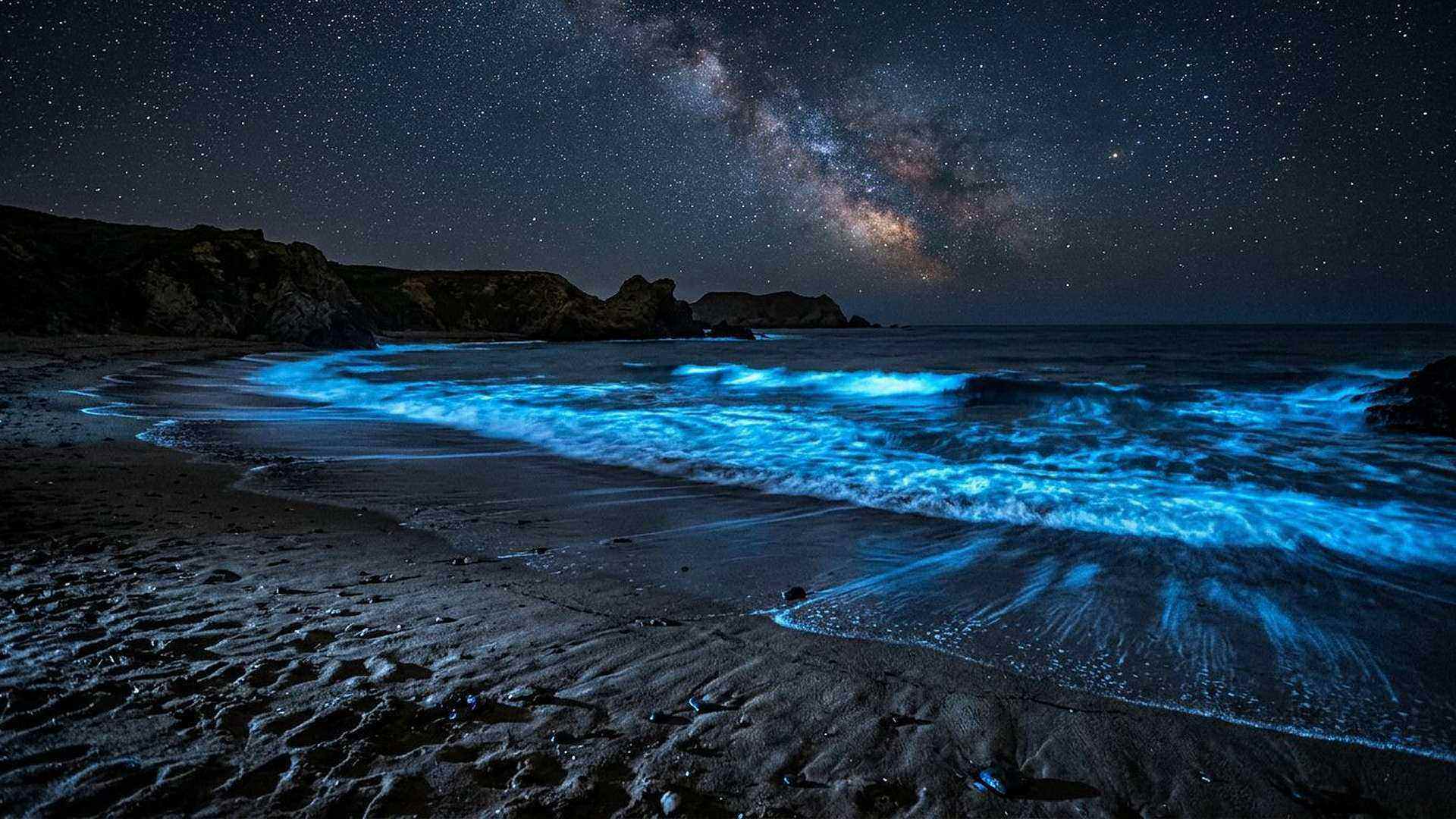 Bioluminescence de la luciole — reconstitution numérique