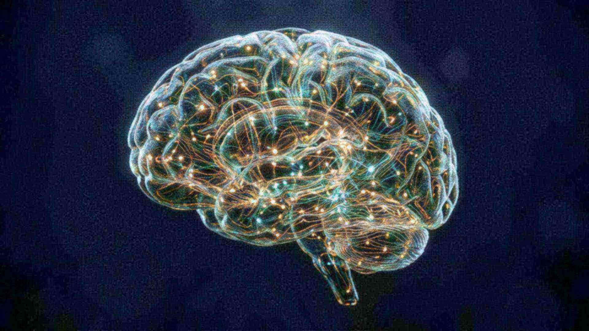 Le cerveau, l'objet le plus complexe connu