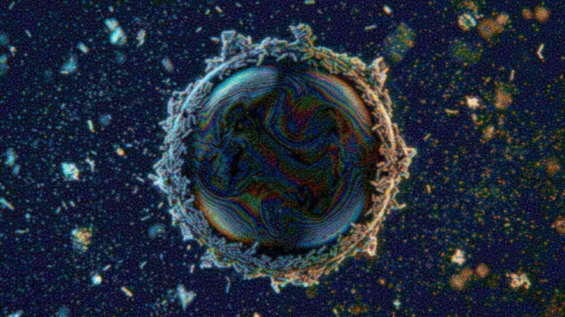 Des microbes qui dégradent le pétrole — Alcanivorax, Pseudomonas