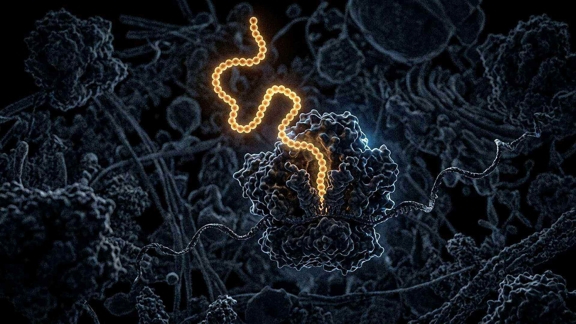 Le ribosome, imprimeur du vivant