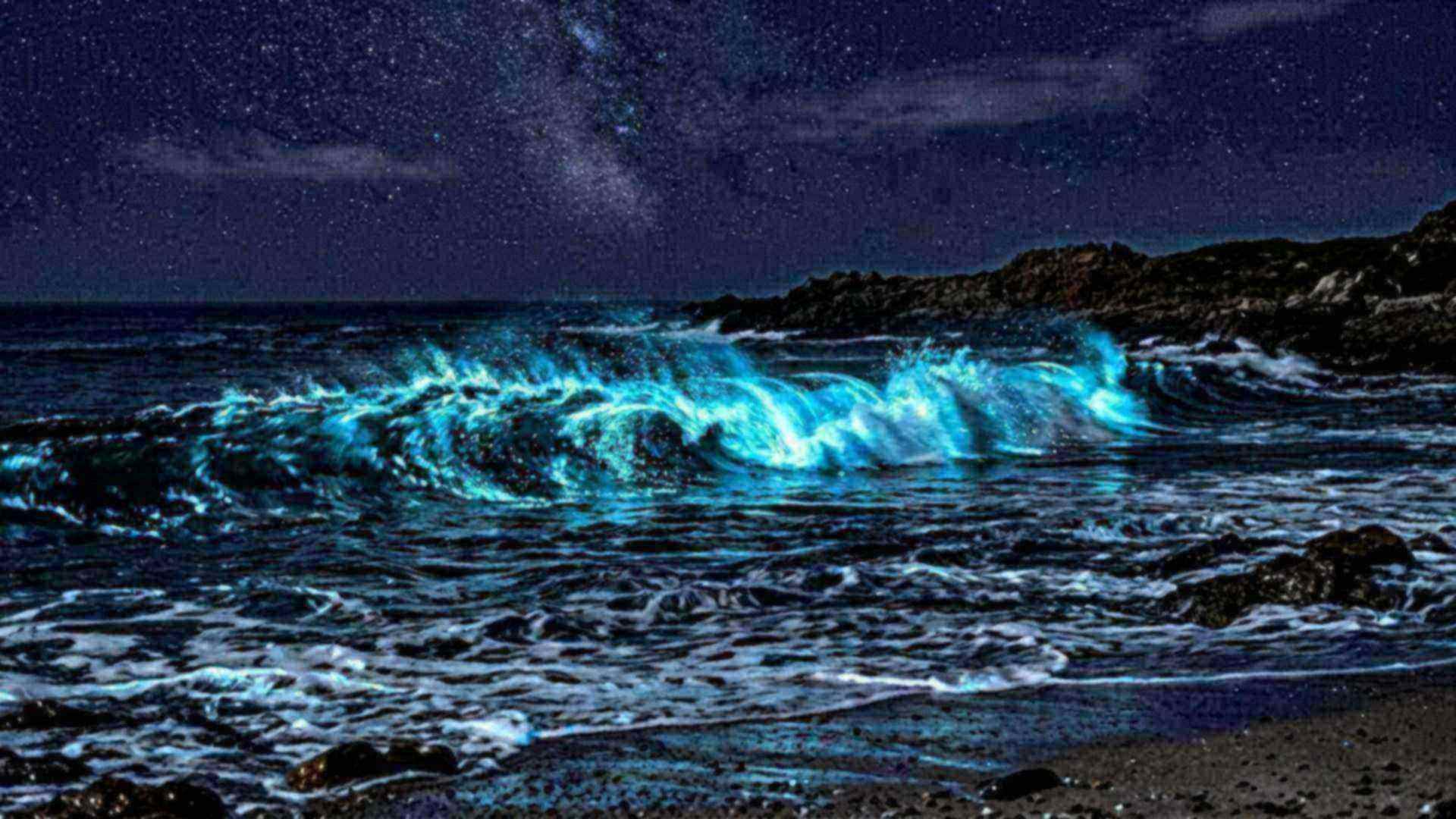 Prévalence de la bioluminescence océanique — reconstitution numérique