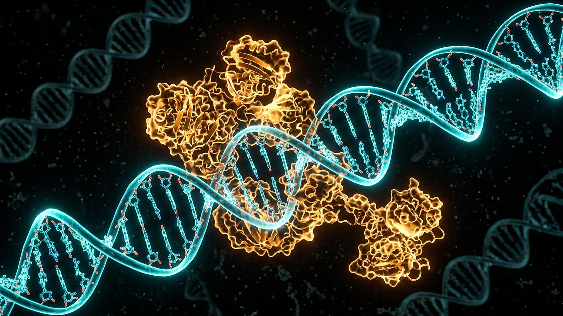 Une machine moléculaire qui se déplace sur la double hélice : lire l’ADN est un acte physique, réparable.