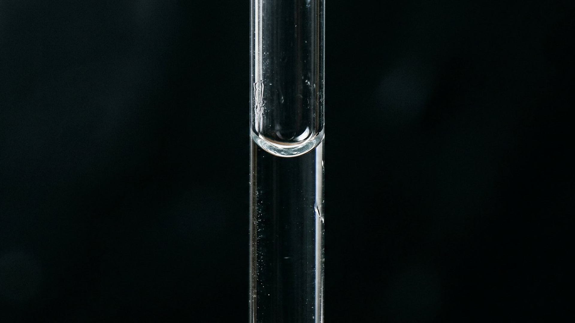 L’eau monte dans un tube plus étroit qu’un cheveu : l’anomalie capillaire est une des raisons pour lesquelles un arbre tient debout.