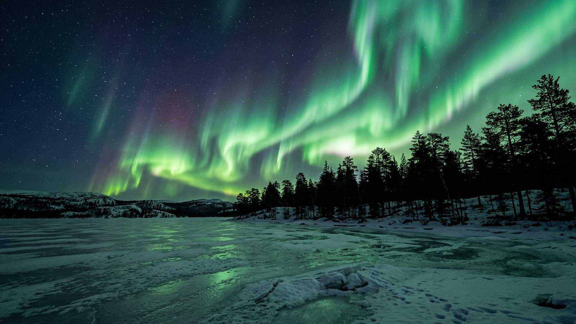 Une aurore boréale : la preuve visible que le champ magnétique dévie les particules venues du Soleil.
