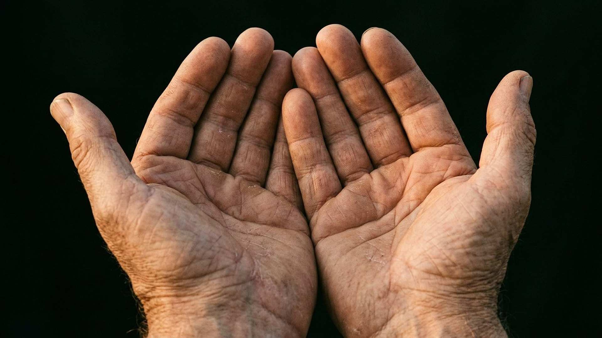 Deux mains ouvertes : la peau se répare, les os se consolident, la cicatrice se referme — sans ordre donné.