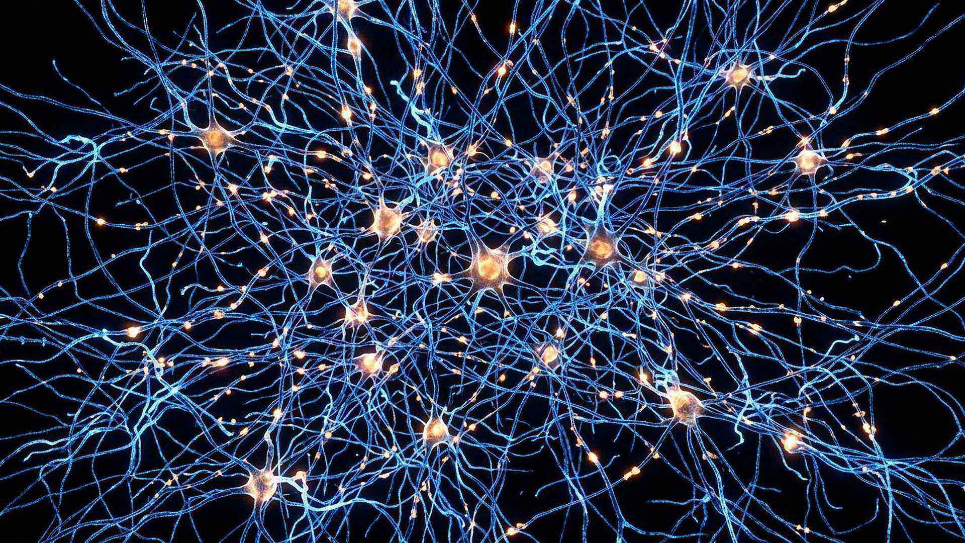 Un réseau de neurones et de synapses : quatre-vingt-six milliards de cellules, chacune connectée à des milliers d’autres.