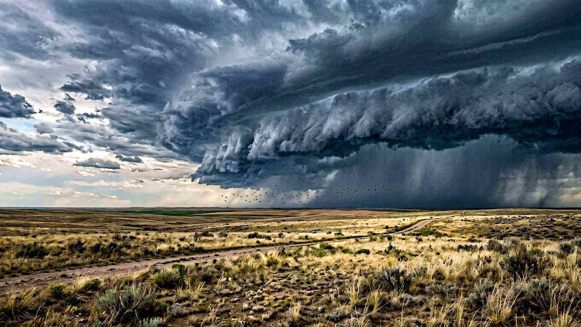 Un front orageux à l’horizon : l’annonce est lisible longtemps avant que la pluie n’arrive.