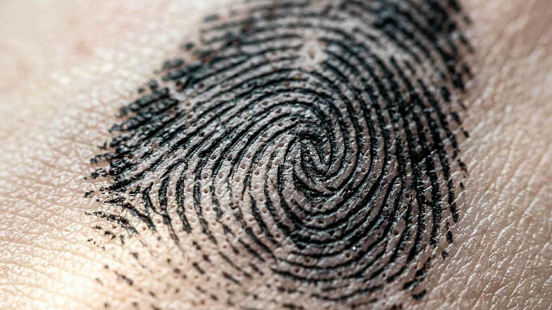 Une empreinte digitale : un motif unique, produit par une règle de développement qui ne connaît pas le résultat.
